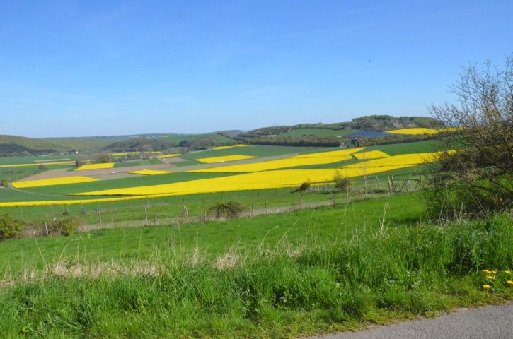 Impressionen vom Volkswandertag