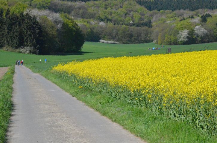 Impressionen vom Volkswandertag