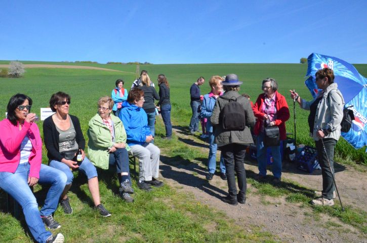 Impressionen vom Volkswandertag