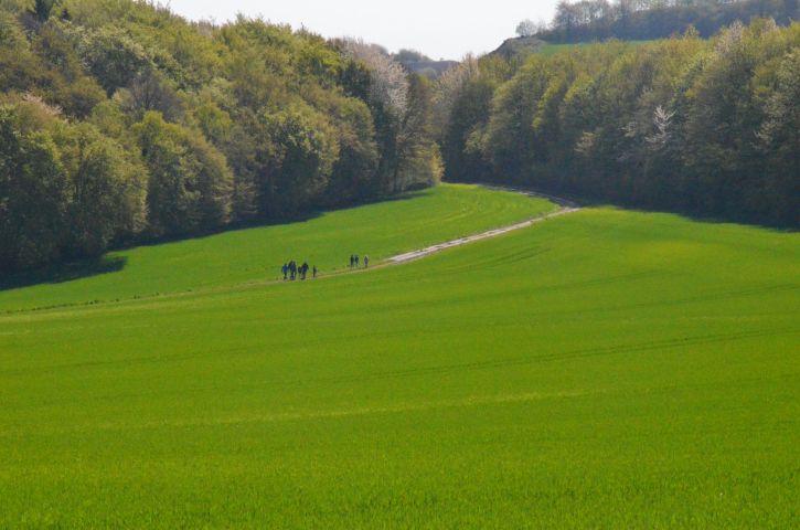 Impressionen vom Volkswandertag