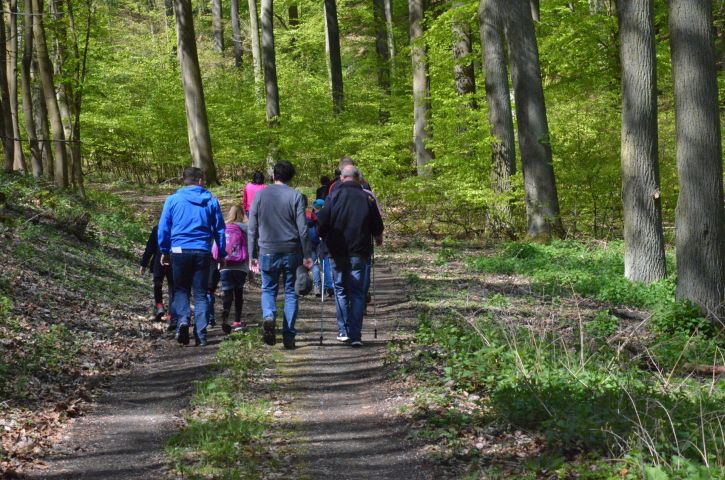 Impressionen vom Volkswandertag