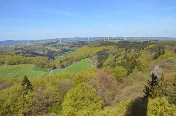 Impressionen vom Volkswandertag