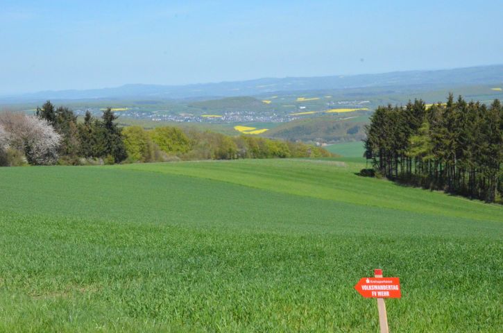 Impressionen vom Volkswandertag